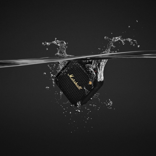 Marshall Willen 2 Speaker